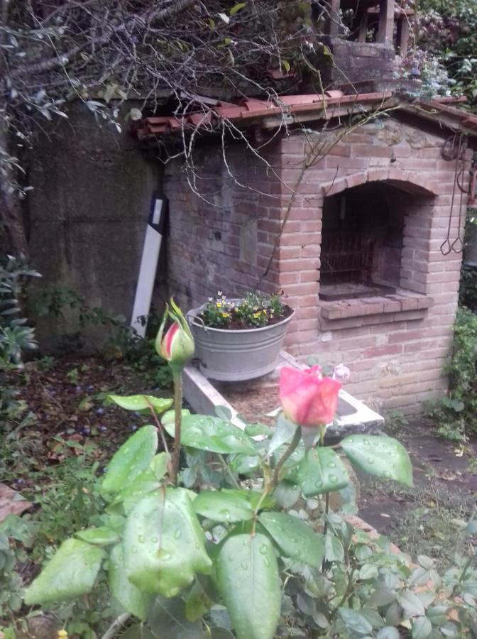 Casa Patti Alle Porte Di סיינה מראה חיצוני תמונה