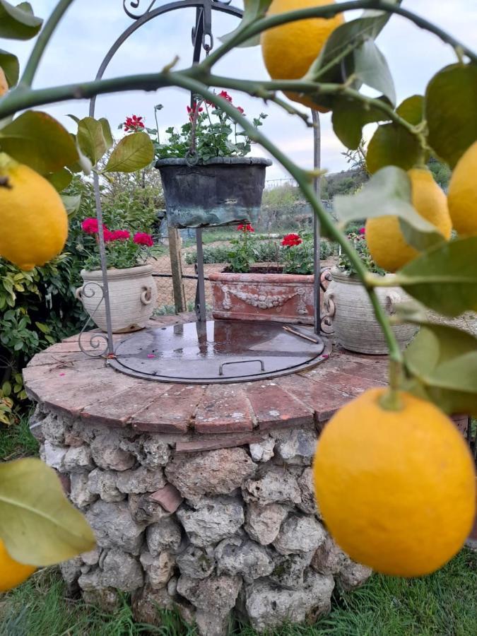 Casa Patti Alle Porte Di סיינה מראה חיצוני תמונה