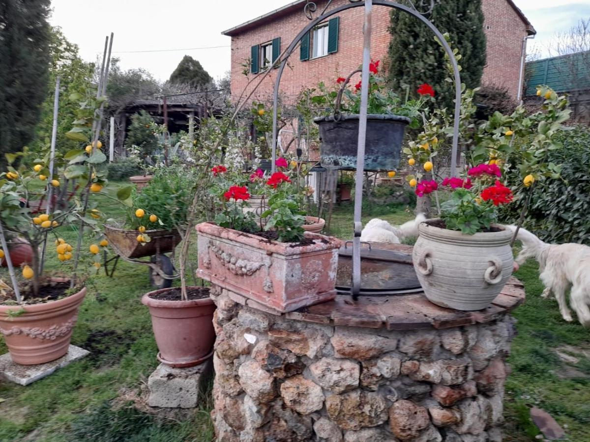 Casa Patti Alle Porte Di סיינה מראה חיצוני תמונה