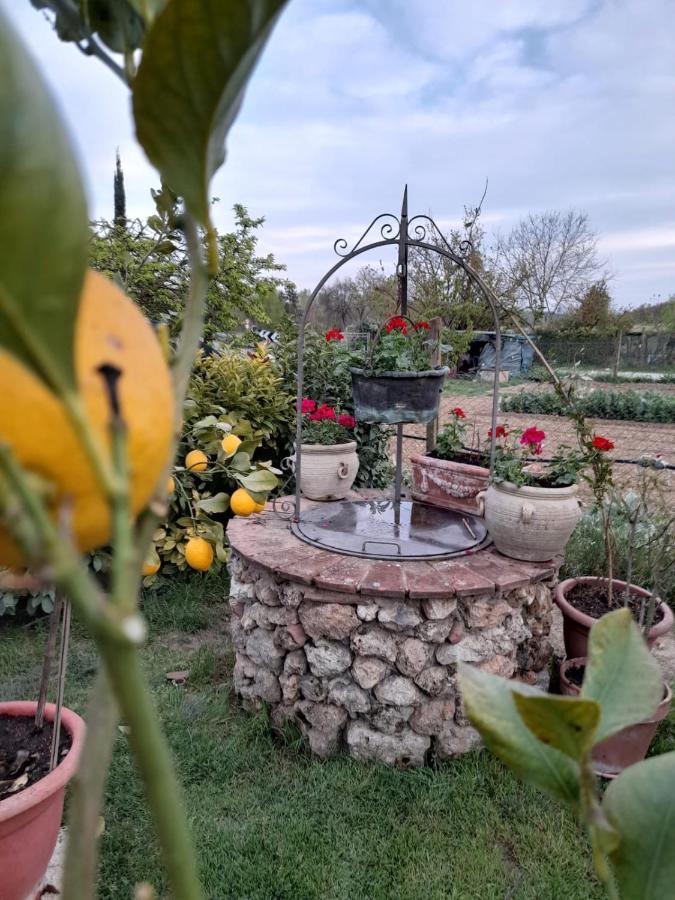 Casa Patti Alle Porte Di סיינה מראה חיצוני תמונה